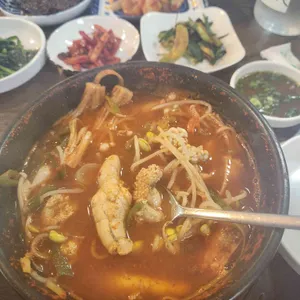 본참치 사진