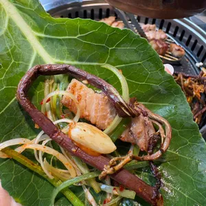 거북이동네 사진