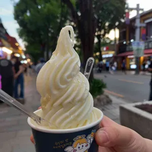 카이막딜라이트 사진