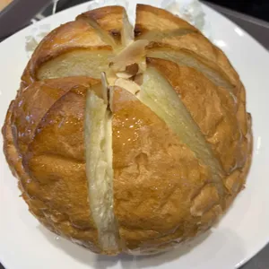 할리스 사진