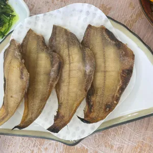 회밀리떳다 사진