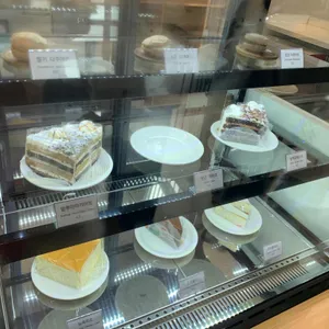 카페청호동 사진