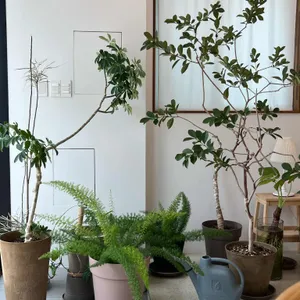 카페 파우제 사진
