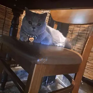 홍담 리뷰 사진