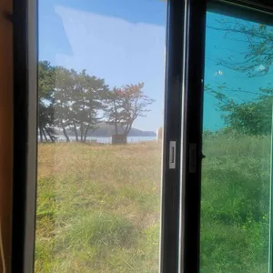 일품백합칼국수 리뷰 사진