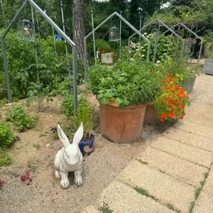 마이알레 사진 2