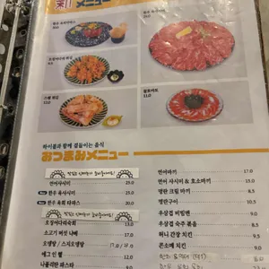 하이바 리뷰 사진