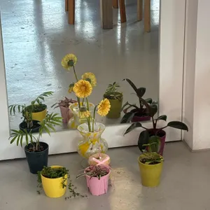 투핸즈투 리뷰 사진