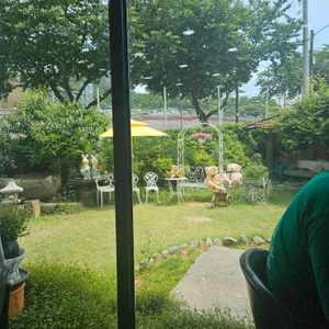 뜰채 리뷰 사진