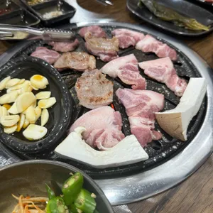 고기가자 사진