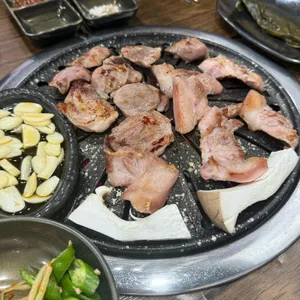고기가자 사진
