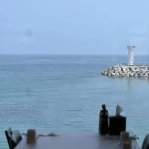 스타대게 리뷰 사진
