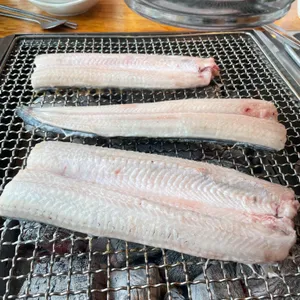 장어의꿈 사진