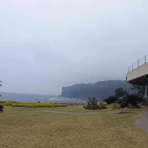 카페 루시아 리뷰 사진