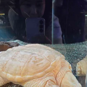 러키더키 리뷰 사진