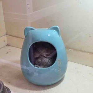 러키더키 리뷰 사진
