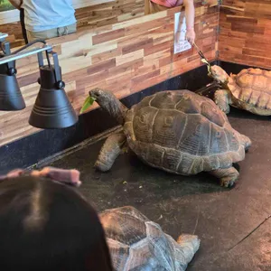 러키더키 리뷰 사진