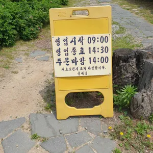 풀내음 리뷰 사진