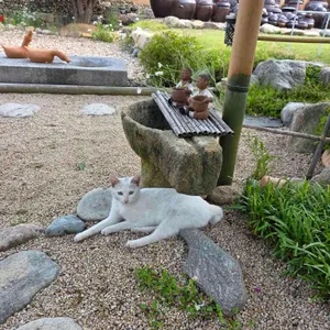 티하우스명륜 리뷰 사진