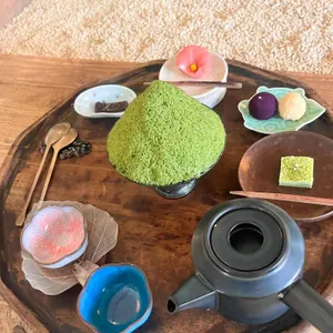 티노마드 사진 1