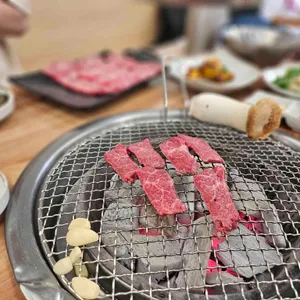 마루 사진