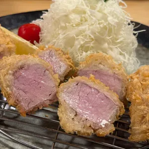 톤쇼우 사진