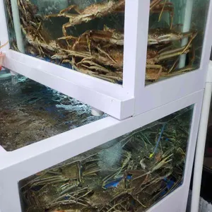 해동대게 리뷰 사진