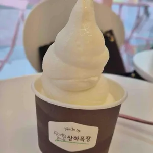 송도씨 사진