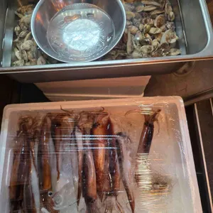 모리본 사진