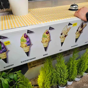 마당공간 리뷰 사진