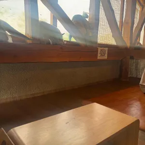 리틀포레스트 리뷰 사진