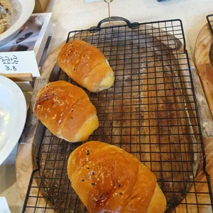 노쉬디쉬 사진