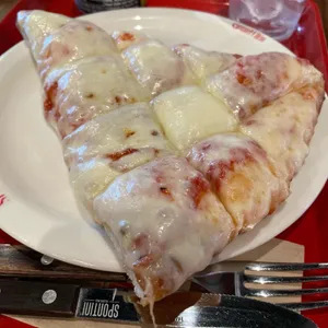 스폰티니 사진