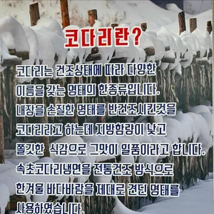 속초코다리냉면 리뷰 사진