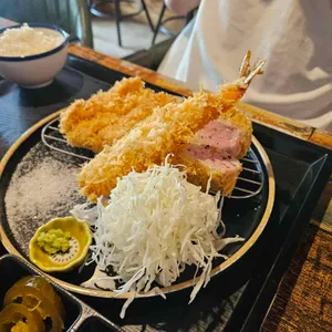 폼포코 사진