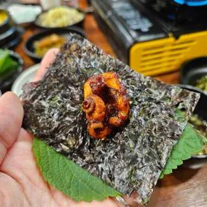 쭈꾸으리 사진