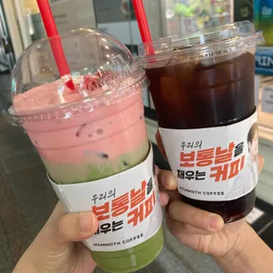 매머드익스프레스 사진