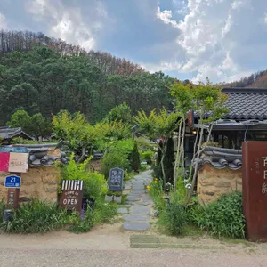 백일홍 리뷰 사진