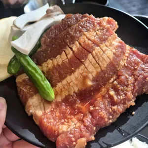 불티 사진
