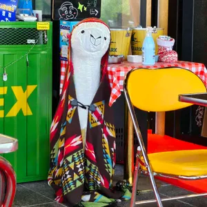 텍스 리뷰 사진