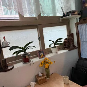 원조열무국수 리뷰 사진