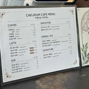 카엘리움 리뷰 사진