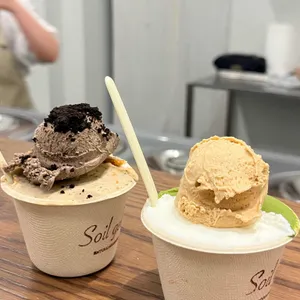 소일 사진