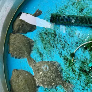 남도수산 대표 사진