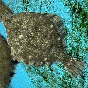 남도수산 대표 사진