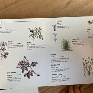 앤드 리뷰 사진