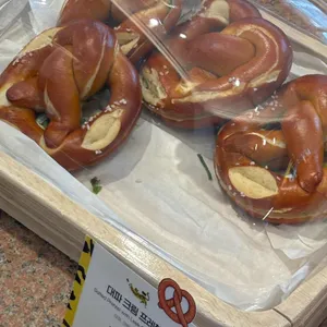 호랑가시 사진