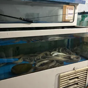 민아꼼장어 리뷰 사진