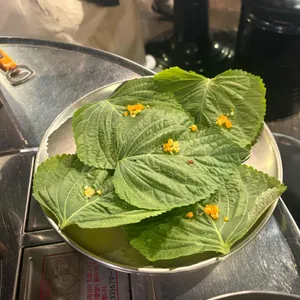 불난배꼽 사진