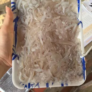 삼척대왕대게 사진